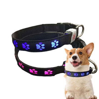 comprare Collare per cani a LED lampeggiante per tutte le stagioni Piccolo Medio Grande Collare per cani illuminato fabbricazione online
