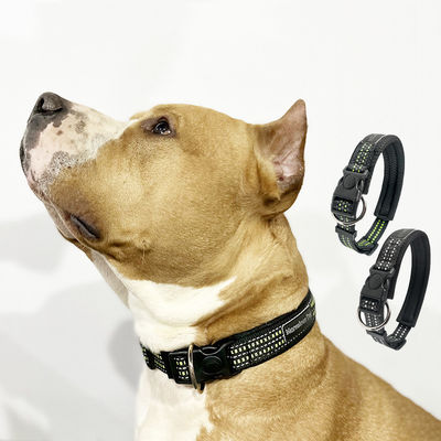 comprare Collare per cani luminoso lampeggiante nero Custom SML LED Light Up Dog Collar fabbricazione online