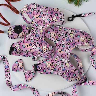 comprare Adjustable Luxury Neoprene Mesh Soft Pet Dog Harness Set con guinzaglio personalizzato con logo personalizzato e OEM/ODM accettato fabbricazione online