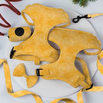 comprare Confortevole cinturino con guinzaglio giallo per cucciolo Neoprene Collare per cucciolo e piombo fabbricazione online