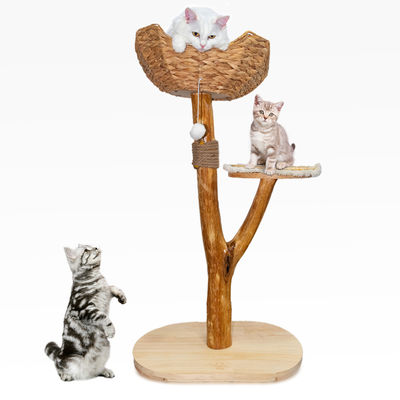 comprare Cat Tree Design Unico Legno Naturale Cat Tower Facile arrampicata Piccolo gatto fabbricazione online