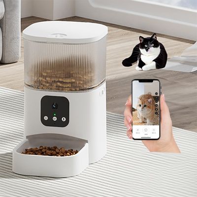 comprare App mobile Remote Control Cat Feeder 300ml Dispenser Wifi per gatti fabbricazione online