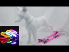 Collare a LED per animali domestici