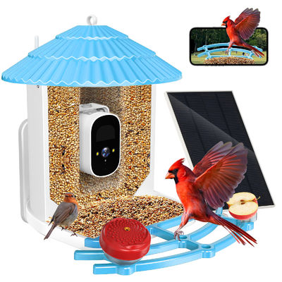 IP66 impermeabile 4MP Smart Bird Feeder 2.5L Wildlife Smart Bird Camera