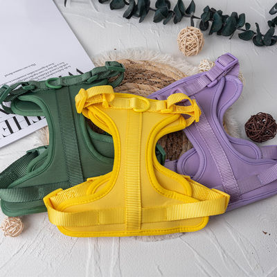 Neoprene personalizzato per cani con guinzaglio per animali domestici