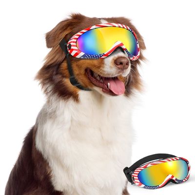 Occhiali da sole per cani Occhiali per animali da compagnia Occhiali da vista per neve spiaggia Motocicletta Occhiali da compagnia razza