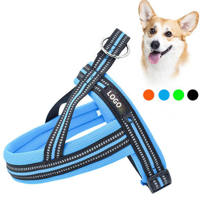 XXS-XXL Leash riflettente e collare Nylon quattro zampe Hi Vis Dog Leads