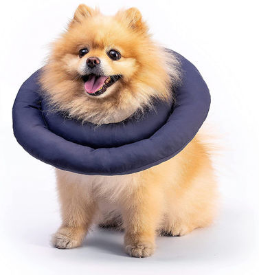 Collare per cani impermeabile con logo personalizzato stampato modello personalizzato portatile morbido