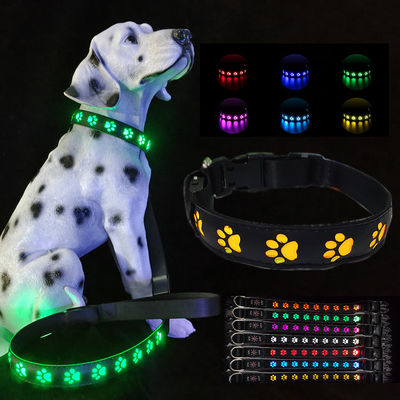 Guinzaglio per cani a LED ricaricabile illuminazione di notte luminosa decorazione di rivetta USB