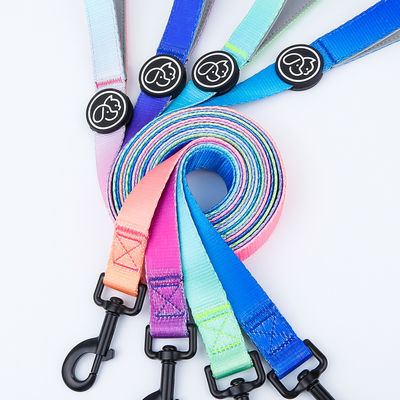 Gradient impermeabile Arnes collare Leash Set Blu Rosa Viola Collare cucciolo E piombo Set