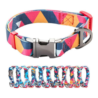 Formazione impermeabile Dog Pet Collars per cani