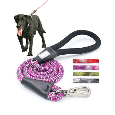 Cane viola con guinzaglio colorato camminare con gli animali da compagnia correndo Nylon Slip Lead Double Rope