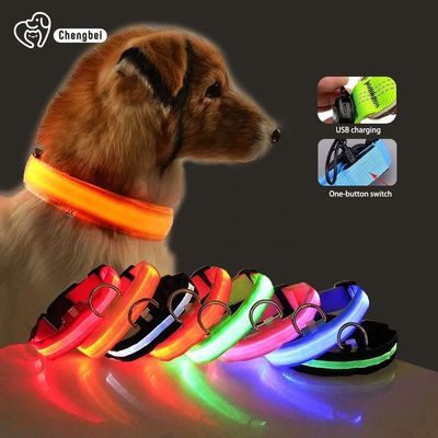 Collare per cani illuminati ricaricabile in nylon XS XL LED