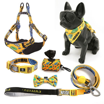 Cani Polyester Custom Sublimation Blank Collare personalizzato per animali domestici e Leash Harness Set Logo personalizzato Disegni estivi di imbracatura per cani