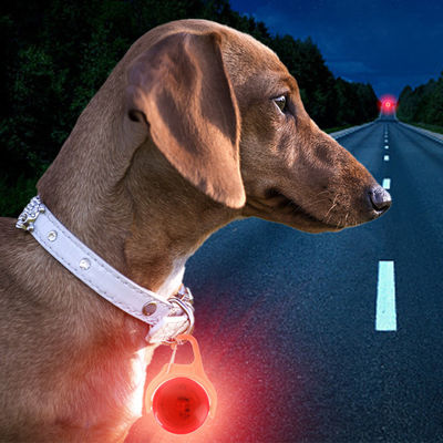 Tag di collare da cane bianco blu verde di silicone lampeggiante