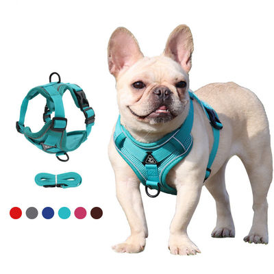 Vesti di sicurezza regolabile traspirante per cani con guinzaglio di trazione da 1,5 metri senza arnesto per cani personalizzato per passeggiate sicure e eleganti