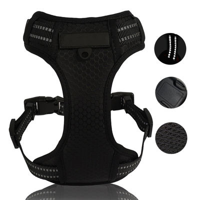 Neoprene Harness Aggiorna il tuo guardaroba con questo set di cravatta e fascia di bow reversibile