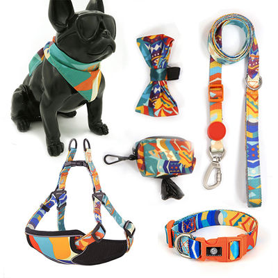 Migliora le passeggiate del tuo cane con il nostro lussuoso set combinato di arnesi riflettenti e guinzaglio per cani