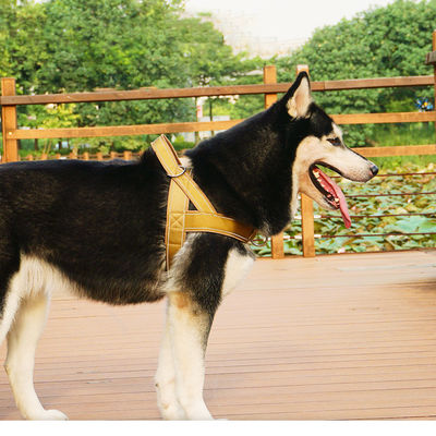 Oem Odm Accessori per cani personalizzati Guinzaglio e collare per imbracatura Designer tattico Set di imbracature per cani da compagnia di sicurezza personalizzati Pettorina per cani