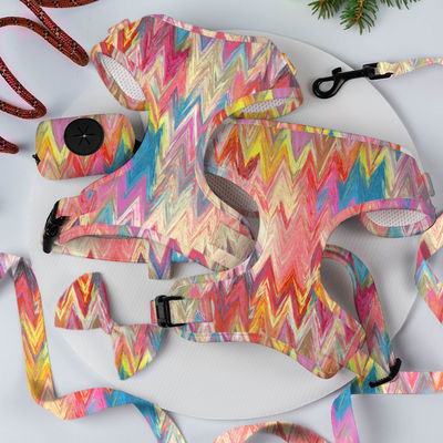 Neoprene Custom Color Dog Harness Set con designers di lusso Metal Buckle Leash e Collare