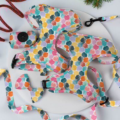XS S M L XL Dog Harness And Leash Set Air Mesh Soft Neoprene Collar And Lead Set