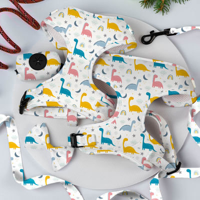 Set di guinzaglio e guinzaglio per cani di lusso