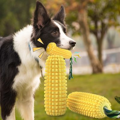 Giocattoli per cani senza sostanze tossiche TPR giocattoli da masticare per masticatori aggressivi