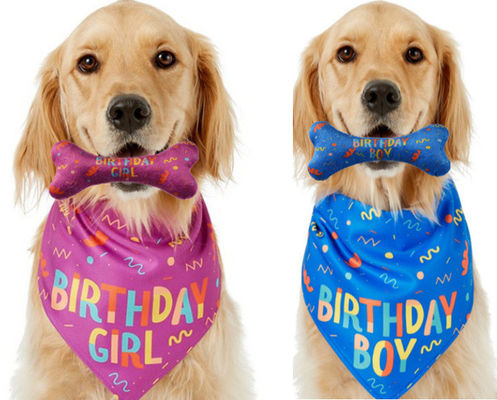 Dog Birthday Stocked Occasione Bandana Osso Masticare Toy Set Pet Custom Stampato Bandana