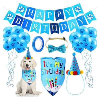 Rifornimenti per il compleanno del cane Tirate il cappello della bandiera e altro Preparatevi a festeggiare
